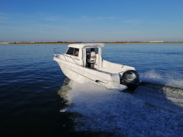 JAVANA 650 - Imagen 2