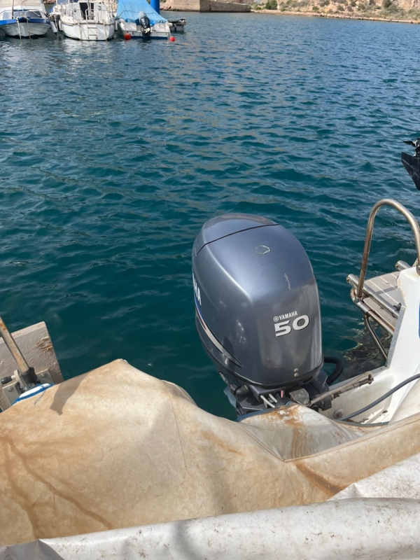FESTIVAL 499 CON YAMAHA 50 HP (INYECCIÓN) - Imagen 7