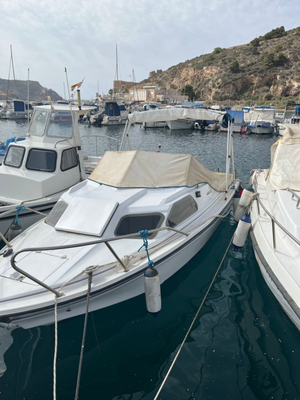 FESTIVAL 499 CON YAMAHA 50 HP (INYECCIÓN) - Imagen 2