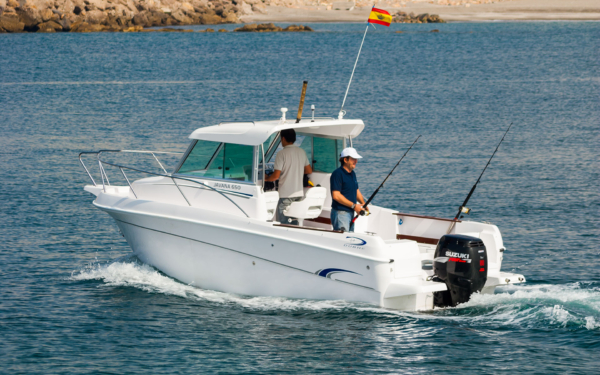 JAVANA 650 - Imagen 3