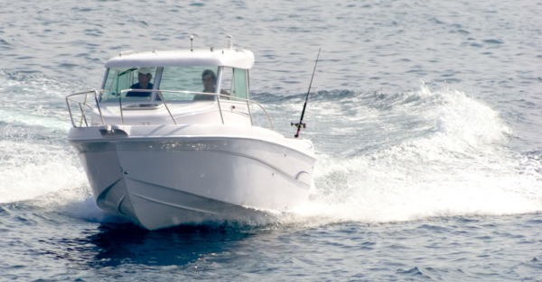 JAVANA 650 - Imagen 4