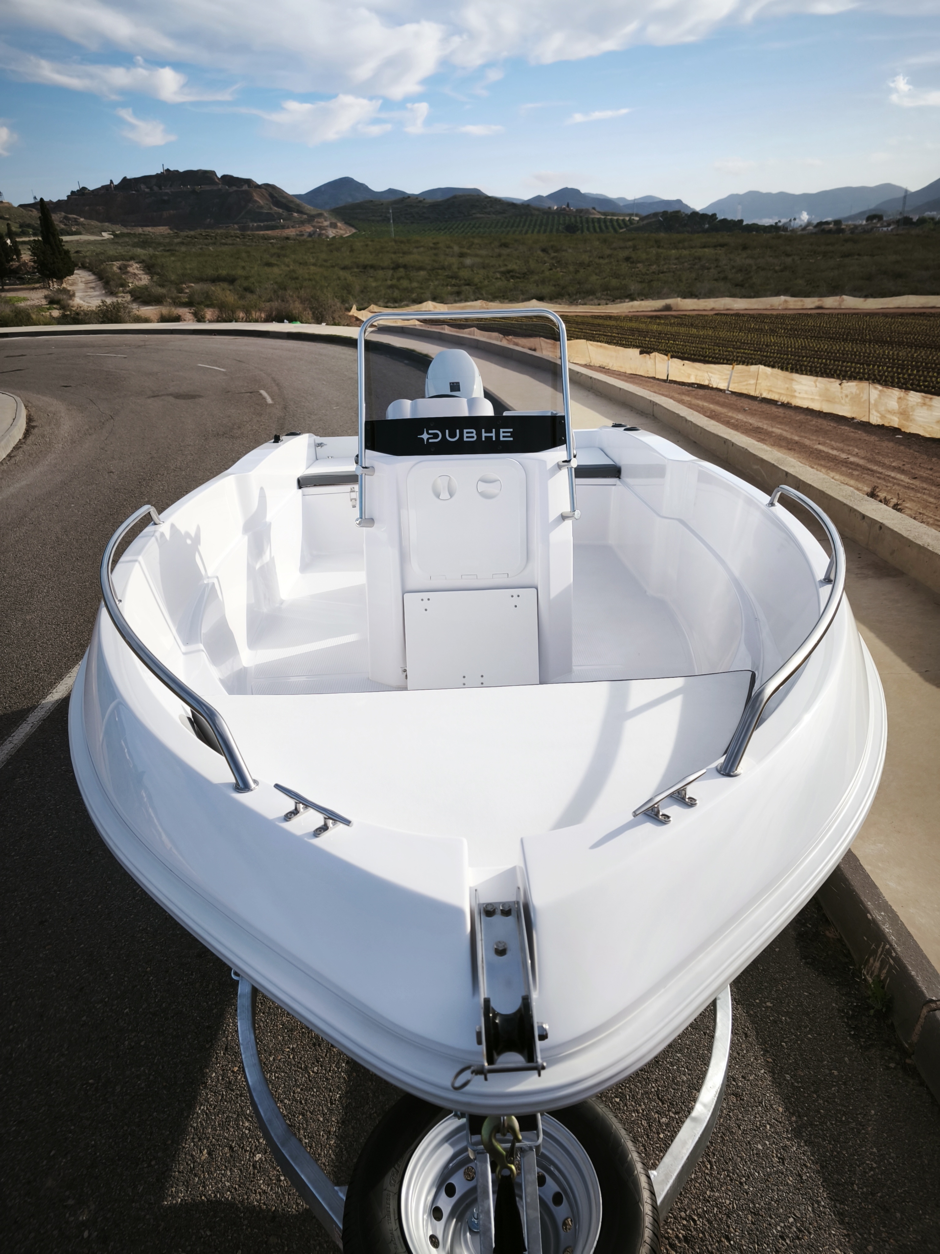 DUBHE ARENA 455-SUZUKI 50 HP **STOCK** - Imagen 6