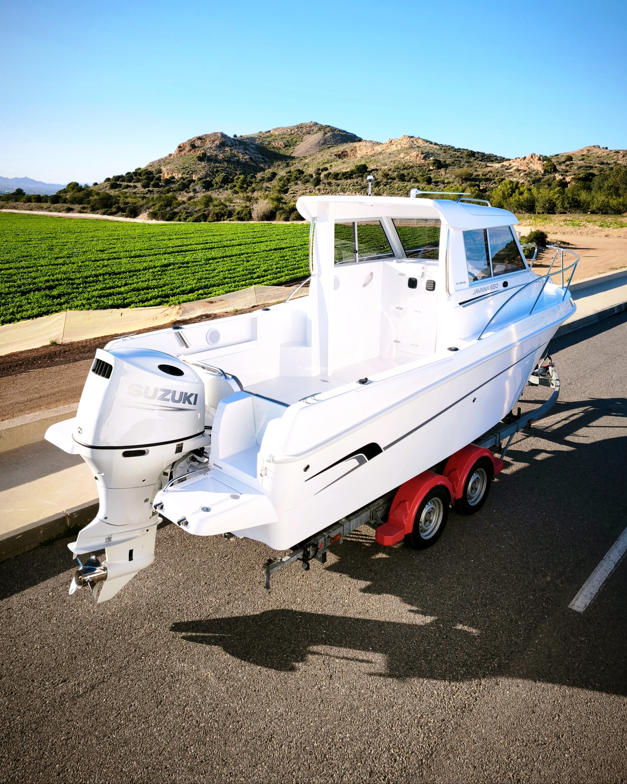 DUBHE JAVANA 650-SUZUKI DF 150 ATL **STOCK 2026** - Imagen 4