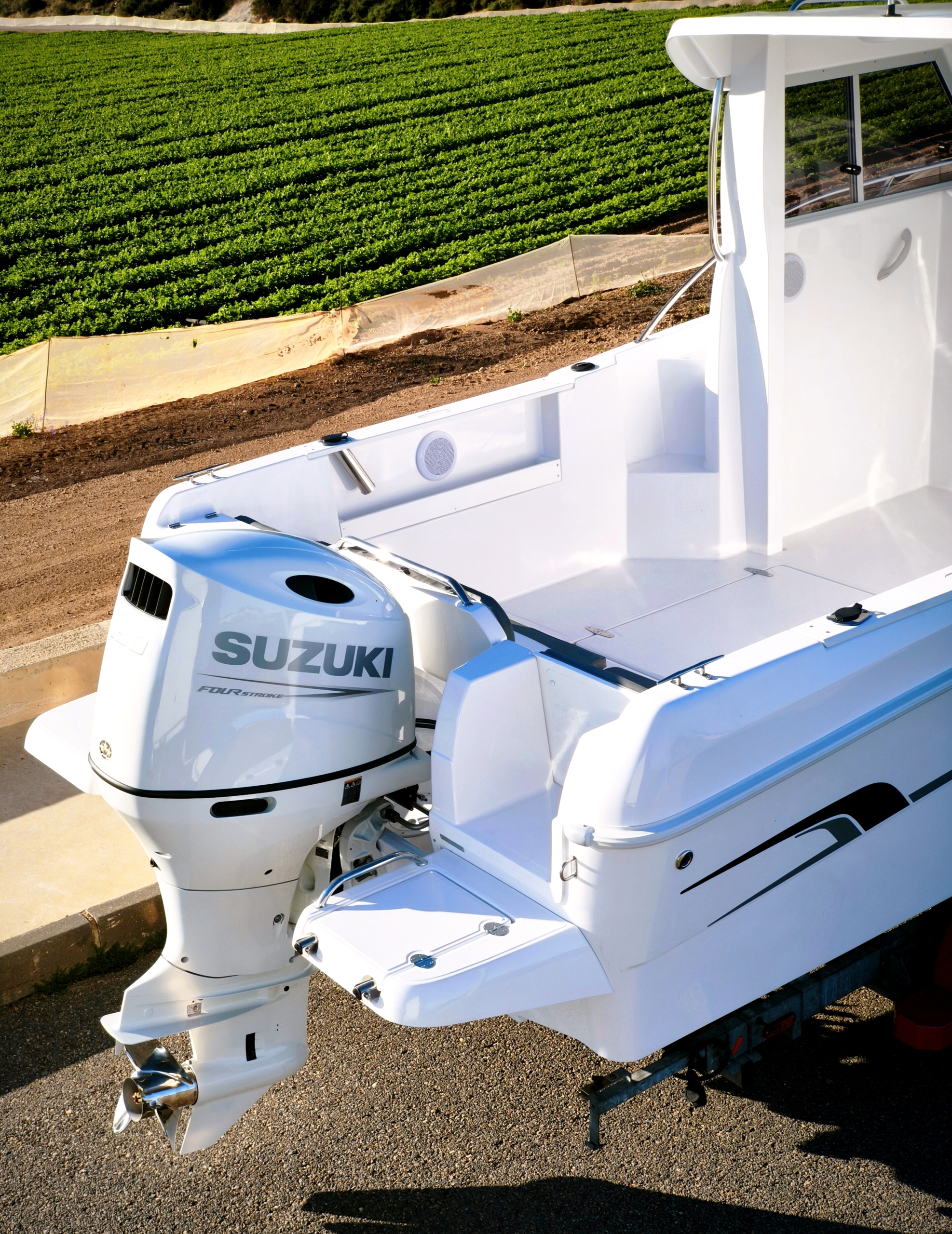 DUBHE JAVANA 650-SUZUKI DF 150 ATL **STOCK 2026** - Imagen 8