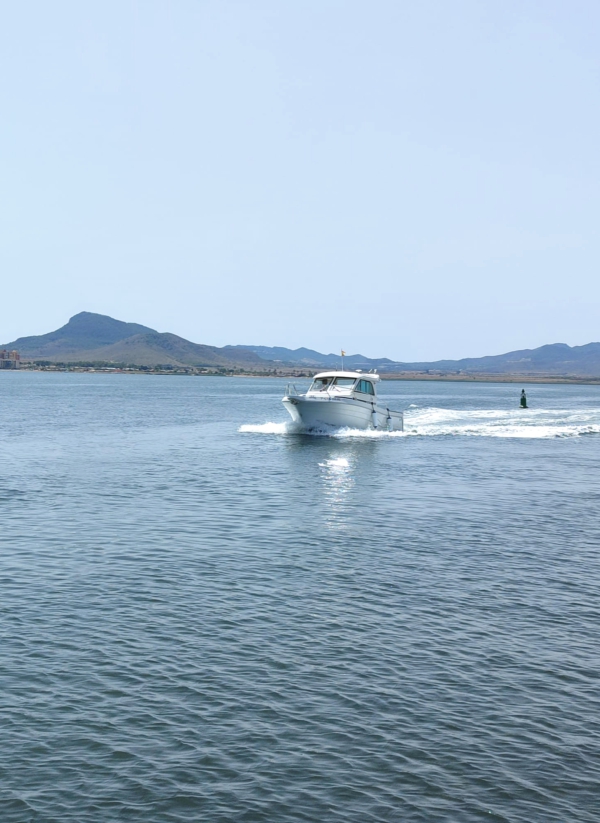 STARFISHER 840 WA (2005)- 2X YANMAR 4LH **REFFIT COMPLETO AÑO 2024** - Imagen 6